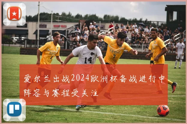 爱尔兰出战2024欧洲杯备战进行中阵容与赛程受关注