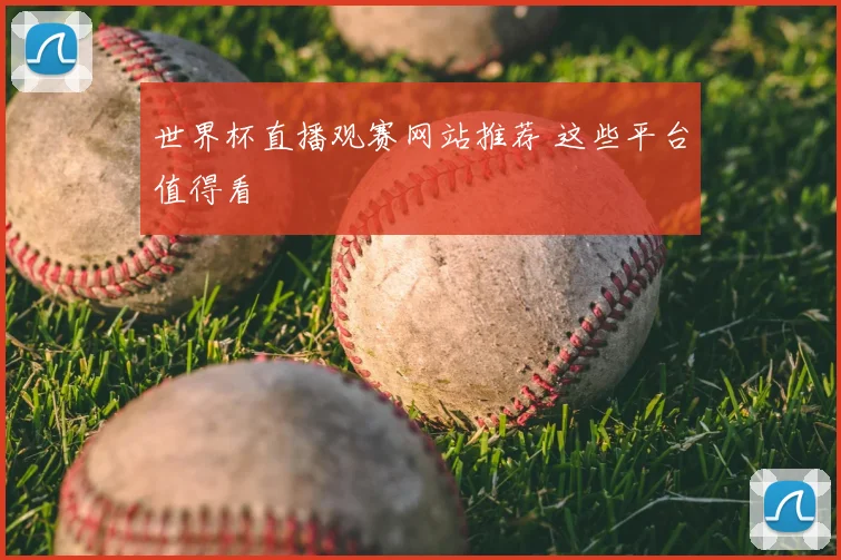 世界杯直播观赛网站推荐 这些平台值得看