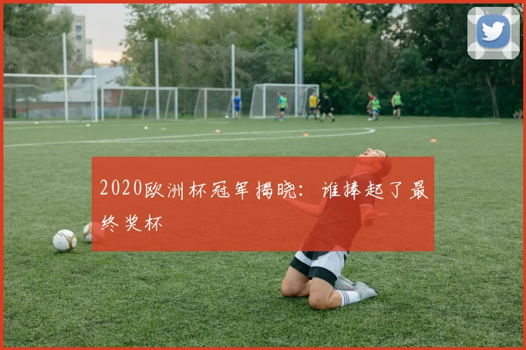 2020欧洲杯冠军揭晓:谁捧起了最终奖杯