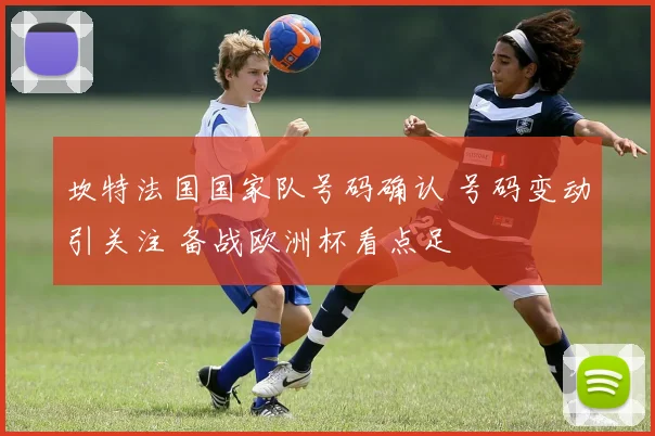 坎特法国国家队号码确认 号码变动引关注 备战欧洲杯看点足