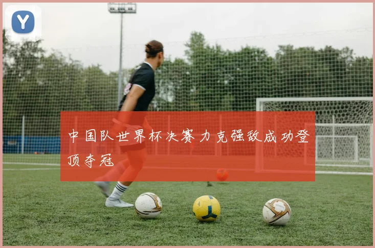 中国队世界杯决赛力克强敌成功登顶夺冠