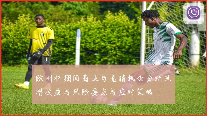 欧洲杯期间商业与竞猜机会分析及潜收益与风险要点与应对策略