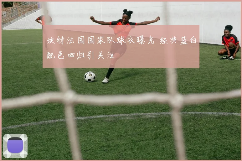 坎特法国国家队球衣曝光 经典蓝白配色回归引关注