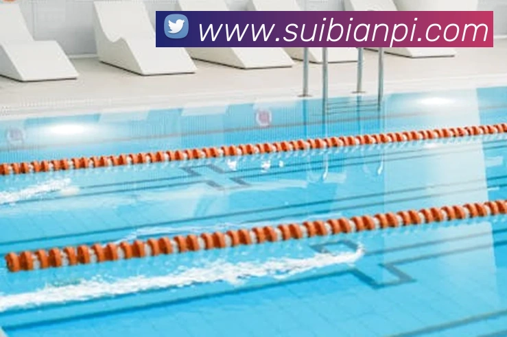 App Interface Preview