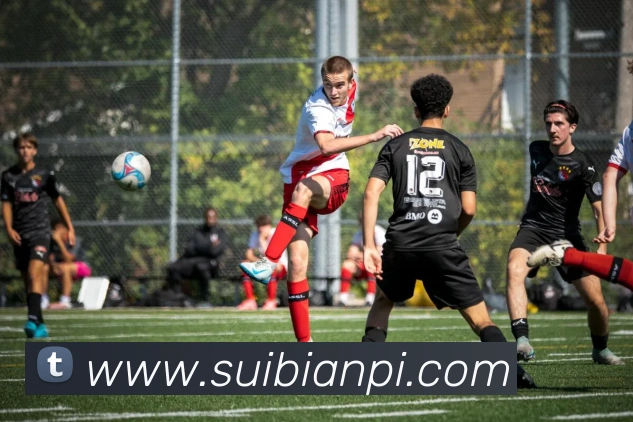 数据防护可视化